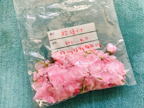 桜の花の塩漬け
