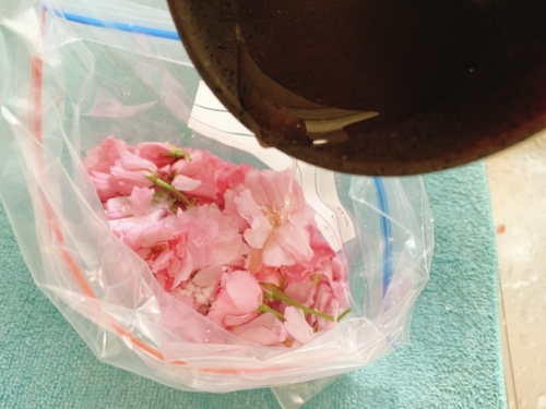 桜の花に梅酢を入れる