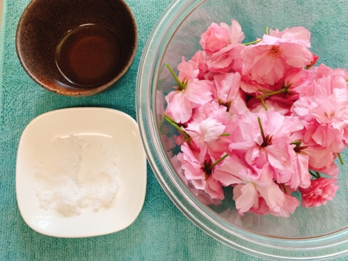 塩　梅酢　桜の花