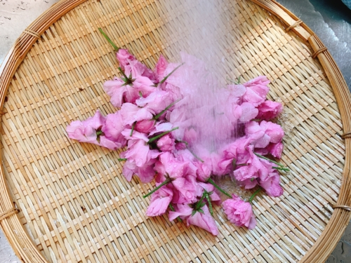 桜の花を水で洗う